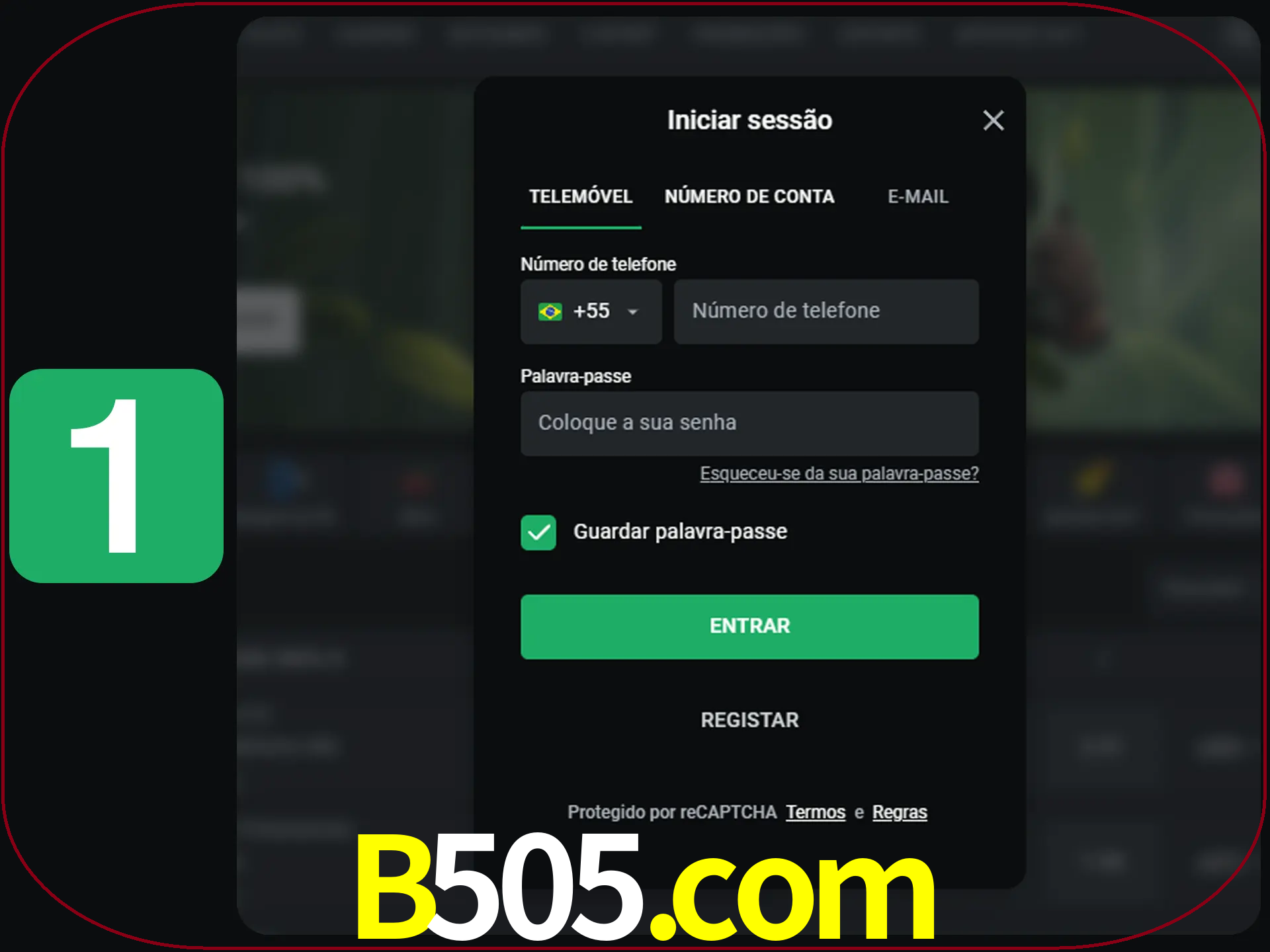 Clique no botão Entrar.